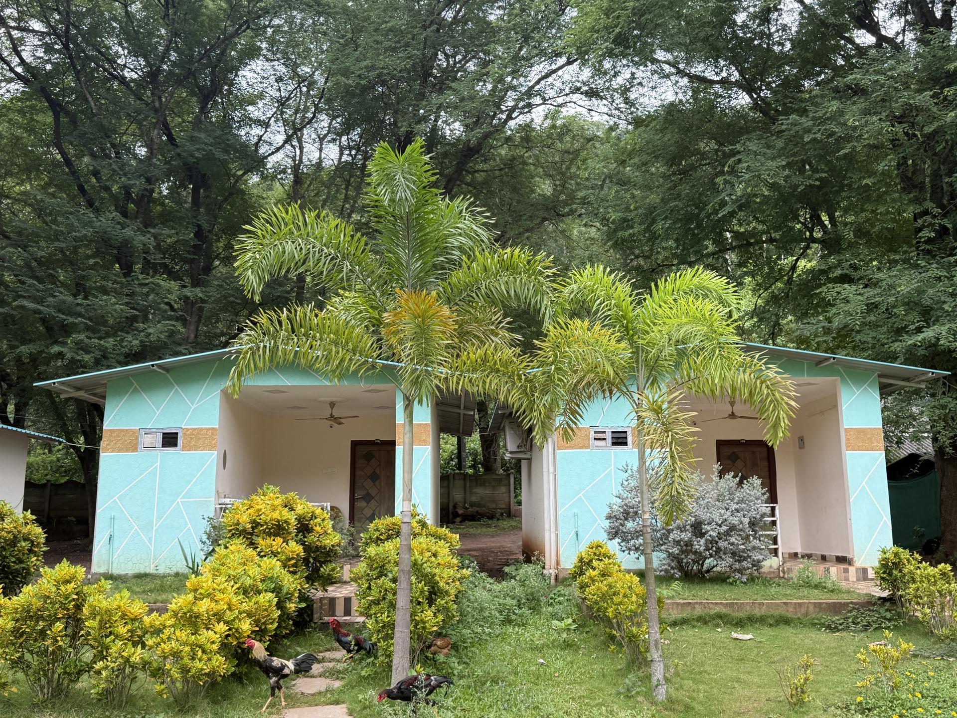 Valley Resort